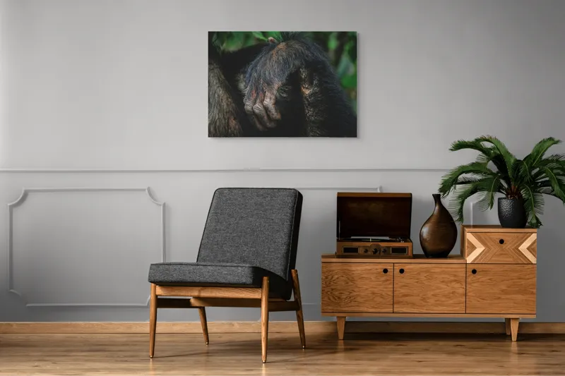Tablou Canvas, "Mâna odihnită în liniștea junglei", Simian, Păr, Mână, Detaliu, Natură, Textură, Blană, Primate, Verdeață, Natural., 100 x 70 cm – poza 8