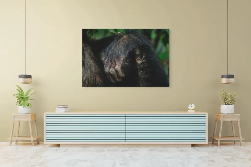 Tablou Canvas, "Mâna odihnită în liniștea junglei", Simian, Păr, Mână, Detaliu, Natură, Textură, Blană, Primate, Verdeață, Natural., 150 x 100 cm – poza 6