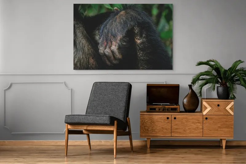 Tablou Canvas, "Mâna odihnită în liniștea junglei", Simian, Păr, Mână, Detaliu, Natură, Textură, Blană, Primate, Verdeață, Natural., 150 x 100 cm – poza 8