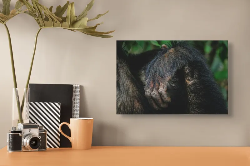 Tablou Canvas, "Mâna odihnită în liniștea junglei", Simian, Păr, Mână, Detaliu, Natură, Textură, Blană, Primate, Verdeață, Natural., 39 x 26 cm – poza 3