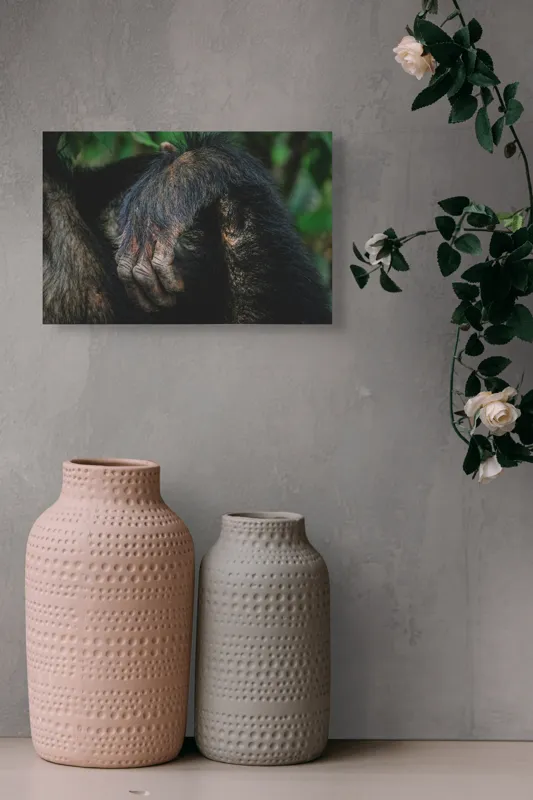 Tablou Canvas, "Mâna odihnită în liniștea junglei", Simian, Păr, Mână, Detaliu, Natură, Textură, Blană, Primate, Verdeață, Natural., 39 x 26 cm – poza 4