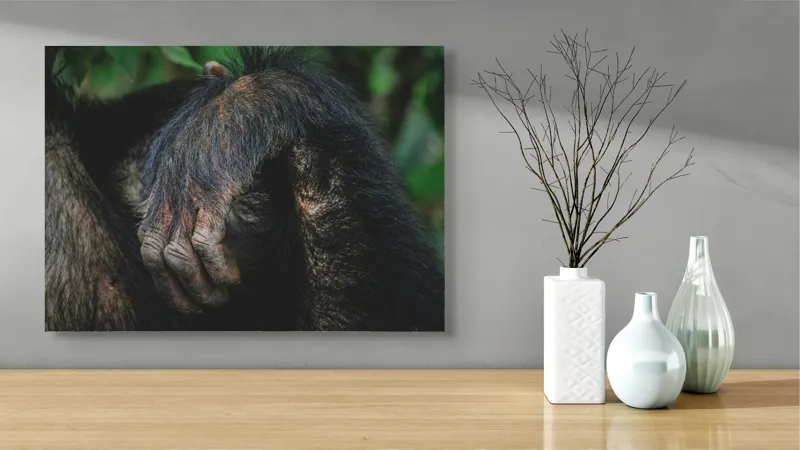 Tablou Canvas, "Mâna odihnită în liniștea junglei", Simian, Păr, Mână, Detaliu, Natură, Textură, Blană, Primate, Verdeață, Natural., 70 x 50 cm – poza 3
