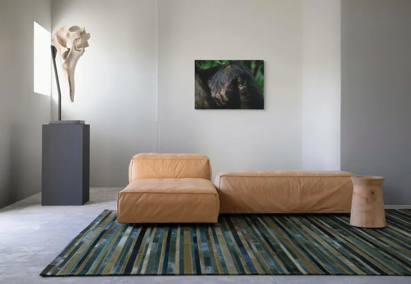 Tablou Canvas, "Mâna odihnită în liniștea junglei", Simian, Păr, Mână, Detaliu, Natură, Textură, Blană, Primate, Verdeață, Natural., 70 x 50 cm – poza 8