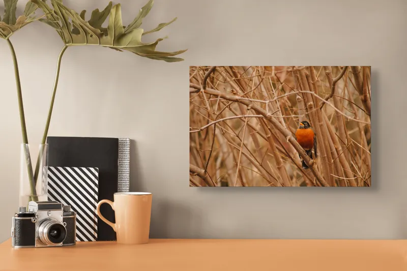 Tablou Canvas, "Mierla ascunsă între crengi uscate", Păsărică, Ramuri, Toamnă, Portocaliu, Natură, Ascunzătoare, Frunze, Aranjament, Peisaj, Observație, 39 x 26 cm – poza 3