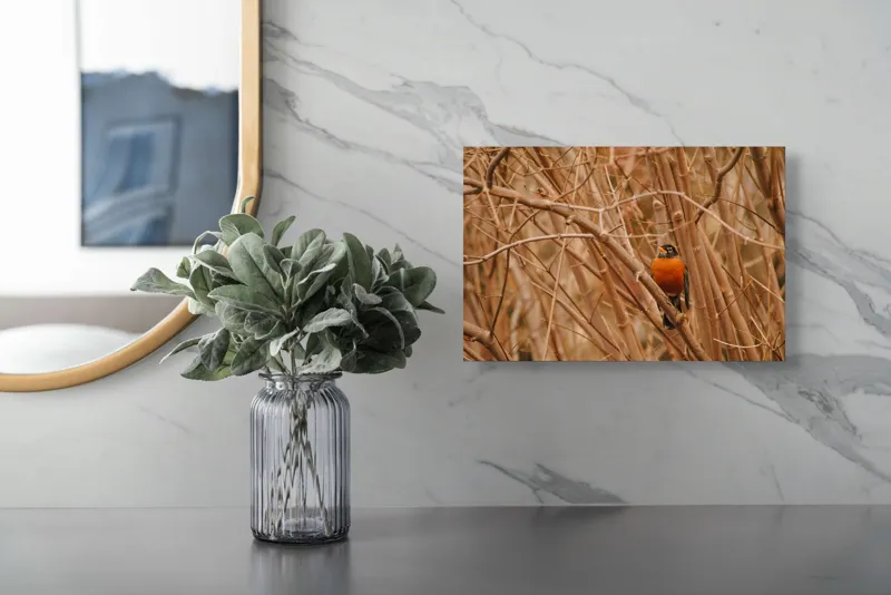 Tablou Canvas, "Mierla ascunsă între crengi uscate", Păsărică, Ramuri, Toamnă, Portocaliu, Natură, Ascunzătoare, Frunze, Aranjament, Peisaj, Observație, 39 x 26 cm – poza 5