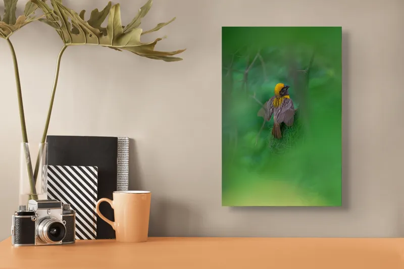 Tablou Canvas, "Păsăre galbenă ascunsă în frunze verzi", Pasăre, Cuib, Penaj, Verde, Ramuri, Natură, Lumină, Frunziș, Delicatețe, Observare, 26 x 39 cm – poza 3