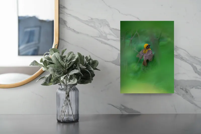 Tablou Canvas, "Păsăre galbenă ascunsă în frunze verzi", Pasăre, Cuib, Penaj, Verde, Ramuri, Natură, Lumină, Frunziș, Delicatețe, Observare, 26 x 39 cm – poza 4