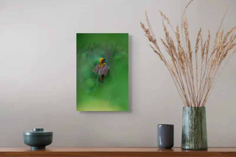 Tablou Canvas, "Păsăre galbenă ascunsă în frunze verzi", Pasăre, Cuib, Penaj, Verde, Ramuri, Natură, Lumină, Frunziș, Delicatețe, Observare, 26 x 39 cm – poza 5