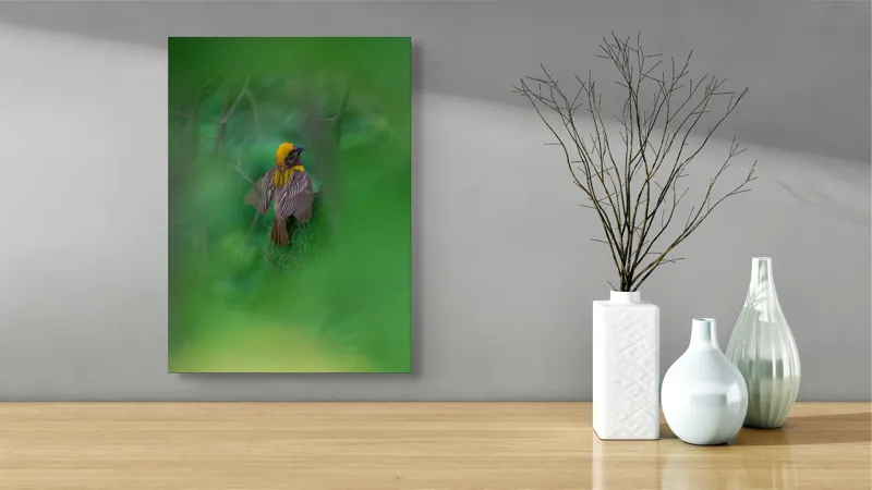 Tablou Canvas, "Păsăre galbenă ascunsă în frunze verzi", Pasăre, Cuib, Penaj, Verde, Ramuri, Natură, Lumină, Frunziș, Delicatețe, Observare, 39 x 54 cm – poza 4