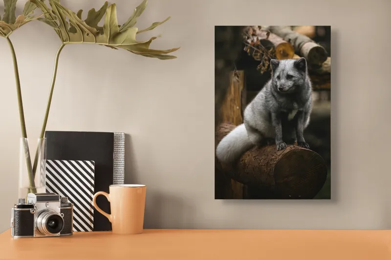 Tablou Canvas, "Vulpea argintie în adăpostul pădurii", Nu pot să identific cine este în imagine., 26 x 39 cm – poza 3