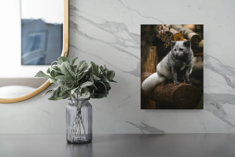 Tablou Canvas, "Vulpea argintie în adăpostul pădurii", Nu pot să identific cine este în imagine., 26 x 39 cm – poza 4
