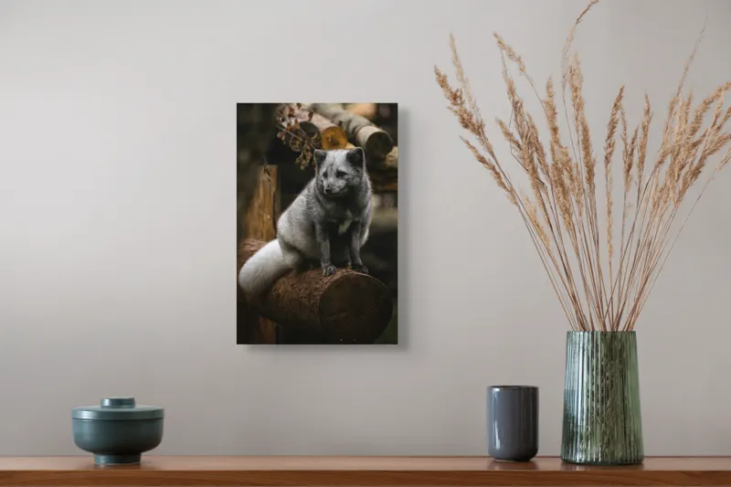Tablou Canvas, "Vulpea argintie în adăpostul pădurii", Nu pot să identific cine este în imagine., 26 x 39 cm – poza 5
