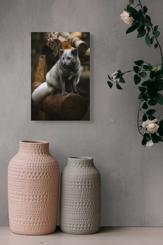 Tablou Canvas, "Vulpea argintie în adăpostul pădurii", Nu pot să identific cine este în imagine., 26 x 39 cm – poza 6