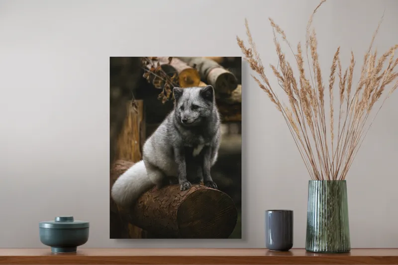 Tablou Canvas, "Vulpea argintie în adăpostul pădurii", Nu pot să identific cine este în imagine., 39 x 54 cm – poza 3