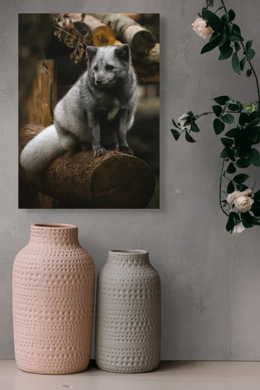 Tablou Canvas, "Vulpea argintie în adăpostul pădurii", Nu pot să identific cine este în imagine., 39 x 54 cm – poza 6