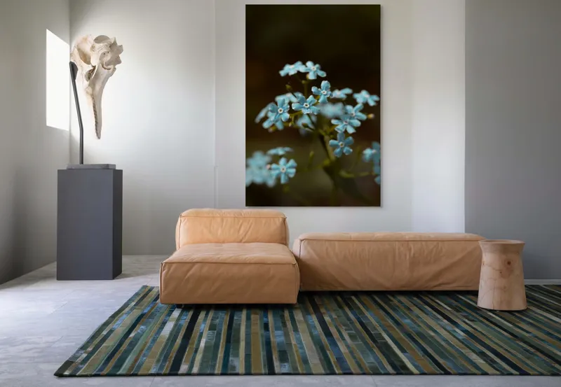 Tablou Canvas, "Florile delicate ale uitării spre cer", Flori, Albastre, Delicate, Naturale, Frumusețe, Simplitate, Vegetație, 100 x 150 cm – poza 7