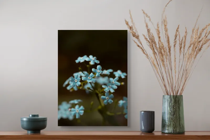 Tablou Canvas, "Florile delicate ale uitării spre cer", Flori, Albastre, Delicate, Naturale, Frumusețe, Simplitate, Vegetație, 39 x 54 cm – poza 3