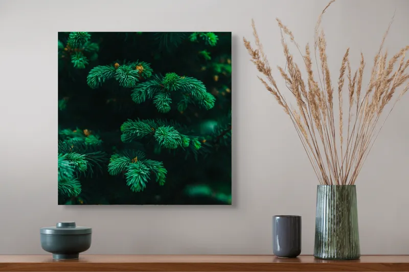 Tablou Canvas, "Splendoarea verde a copacilor de brad", Verde, Frunze, Conifere, Vegetație, Natural, Textură, Densitate, Prospețime, Pădure, Calm, 50 x 50 cm – poza 4