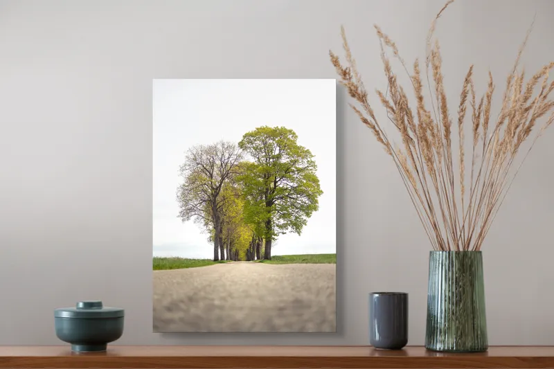 Tablou Canvas, "Drumul prin șirul de copaci verzi", Drum, Aliniament, Copaci, Verdeață, Cer, Primăvară, Perspectivă, Natural., 39 x 54 cm – poza 3