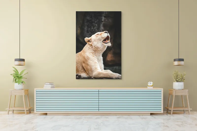 Tablou Canvas, "Leoaica răsunând în amurgul savanei", 100 x 150 cm – poza 4