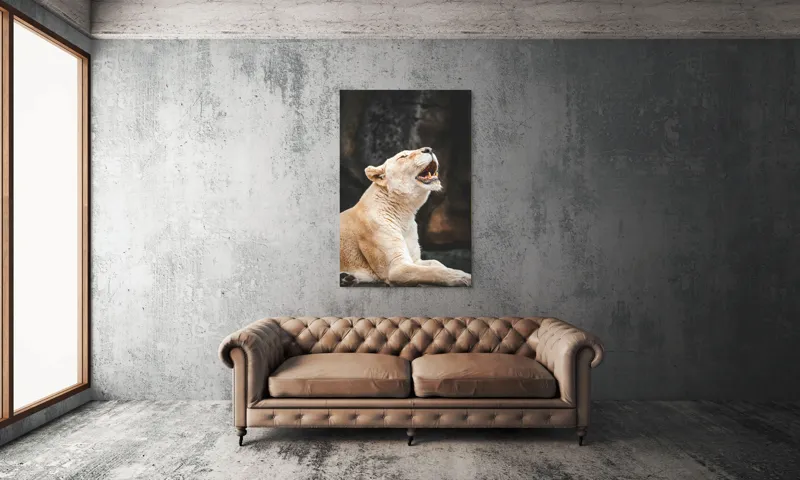 Tablou Canvas, "Leoaica răsunând în amurgul savanei", 100 x 150 cm – poza 6