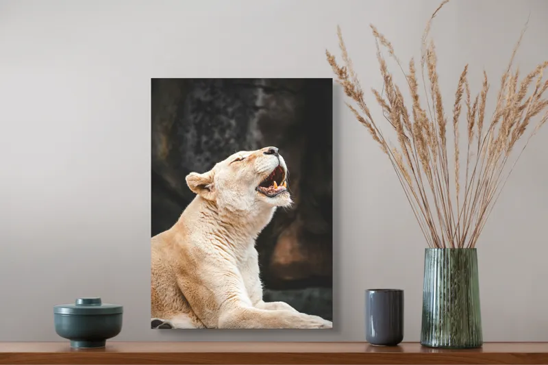 Tablou Canvas, "Leoaica răsunând în amurgul savanei", Nu pot spune cine sau ce este în imagine., 39 x 54 cm – poza 3