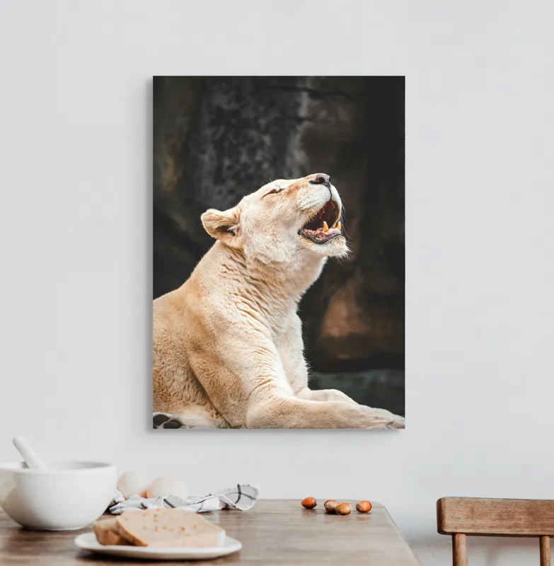 Tablou Canvas, "Leoaica răsunând în amurgul savanei", 50 x 70 cm – poza 3