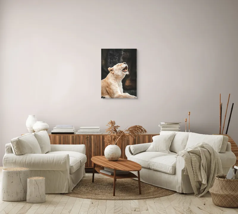Tablou Canvas, "Leoaica răsunând în amurgul savanei", 50 x 70 cm – poza 4