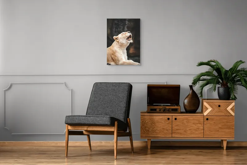 Tablou Canvas, "Leoaica răsunând în amurgul savanei", 50 x 70 cm – poza 8