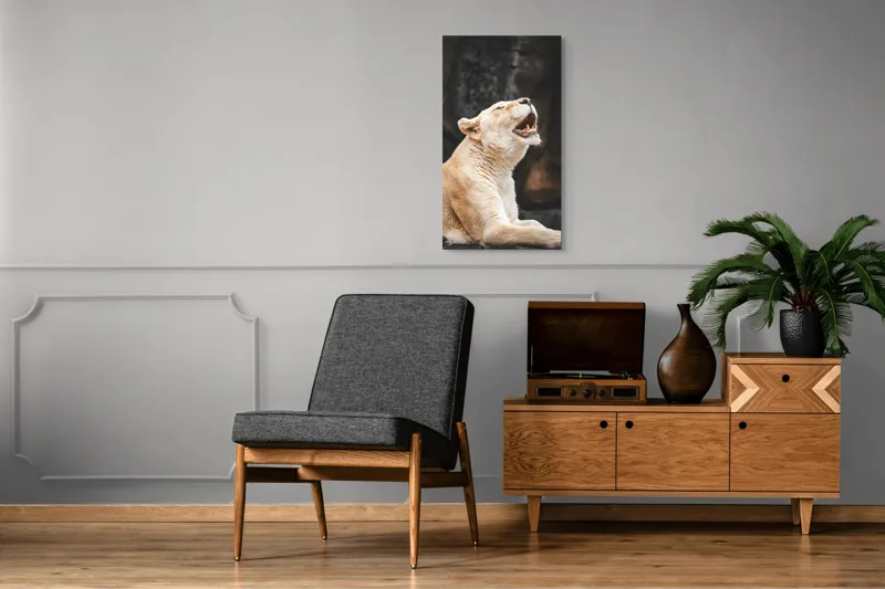 Tablou Canvas, "Leoaica răsunând în amurgul savanei", 50 x 90 cm – poza 8