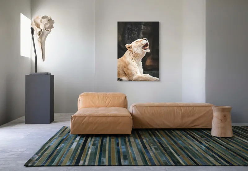 Tablou Canvas, "Leoaica răsunând în amurgul savanei", 70 x 100 cm – poza 7