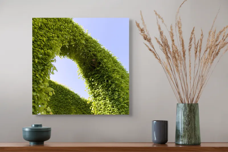 Tablou Canvas, "Arcadă de frunze spre cer senin", Verde, Arcadă, Cer, Frunziș, Natură, Lumină, Vară, 50 x 50 cm – poza 4