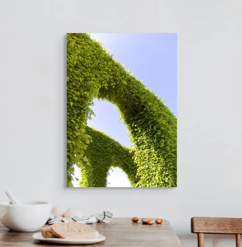 Tablou Canvas, "Arcadă de frunze spre cer senin", Verde, Arcadă, Cer, Frunziș, Natură, Lumină, Vară, 50 x 70 cm – poza 3