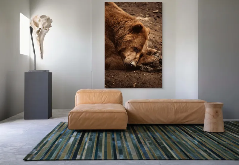 Tablou Canvas, "Ursul în somnul liniștit al pădurii", Ascuns, Blană, Pământ, Odihnă, Urs, Maro, Tihnă, Natură, 100 x 150 cm – poza 7