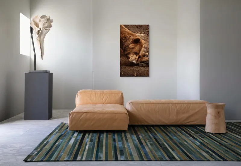 Tablou Canvas, "Ursul în somnul liniștit al pădurii", Ascuns, Blană, Pământ, Odihnă, Urs, Maro, Tihnă, Natură, 50 x 90 cm – poza 5