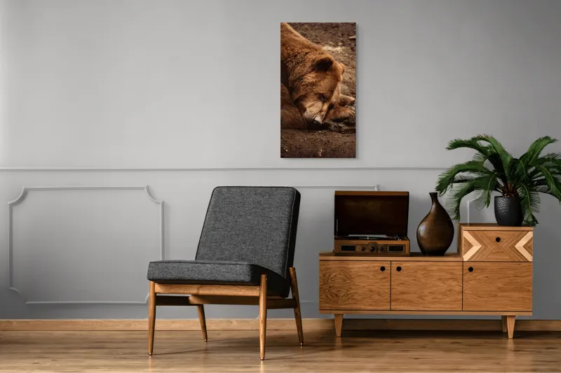 Tablou Canvas, "Ursul în somnul liniștit al pădurii", Ascuns, Blană, Pământ, Odihnă, Urs, Maro, Tihnă, Natură, 50 x 90 cm – poza 8