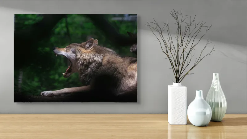 Tablou Canvas, "Lup în sălbăticie căscând liniștit", Lup, Codru, Noapte, Tăcere, Pradă, Frumusețe, Forță, Instinct, Vânătoare, Singurătate, 70 x 50 cm – poza 3