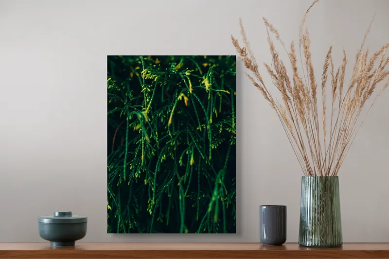 Tablou Canvas, "Frumusețea verde a naturii ascunse", Verde, Ramuri, Textura, Natura, Frunze, Misterios, Intunecat, Vegetatie, Detalii, Contrast, 39 x 54 cm – poza 3