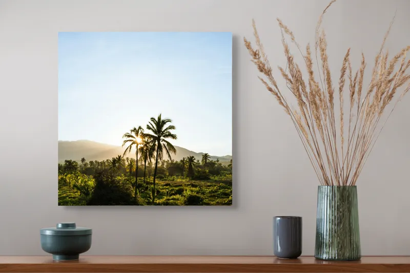 Tablou Canvas, "Răsărit în paradisul tropical", 50 x 50 cm – poza 4