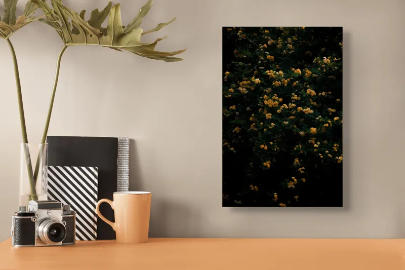 Tablou Canvas, "Înflorire tainică sub clar de lună", Flori, Galbene, Întuneric, Natură, Frunziș, Vibrație, Mister, Abundență, Umbre, Contrast, 26 x 39 cm – poza 3