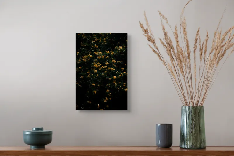 Tablou Canvas, "Înflorire tainică sub clar de lună", Flori, Galbene, Întuneric, Natură, Frunziș, Vibrație, Mister, Abundență, Umbre, Contrast, 26 x 39 cm – poza 5