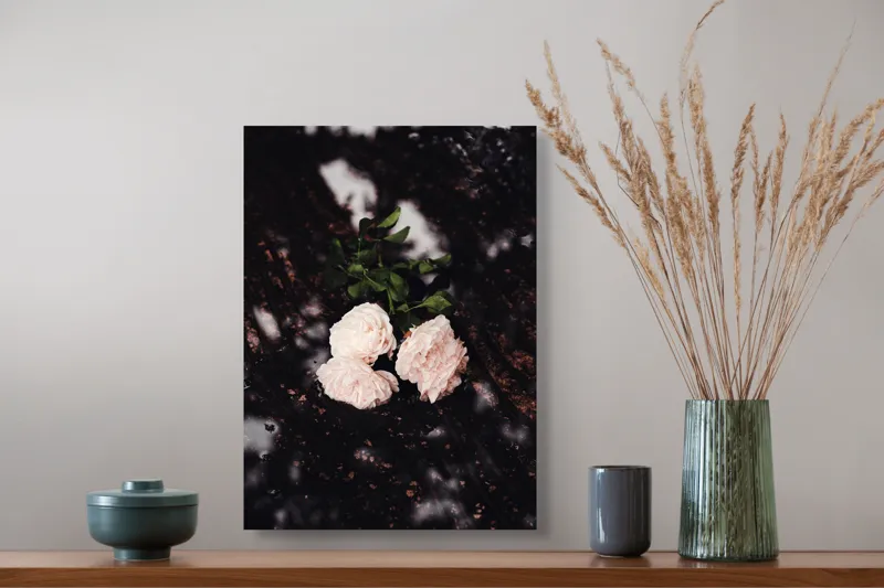Tablou Canvas, "Flori palide pe pământ umed", Flori, Trandafiri, Petale, Frunze, Contrast, Textură, Eleganță, Delicatețe, Natură, Rafinament, 39 x 54 cm – poza 3