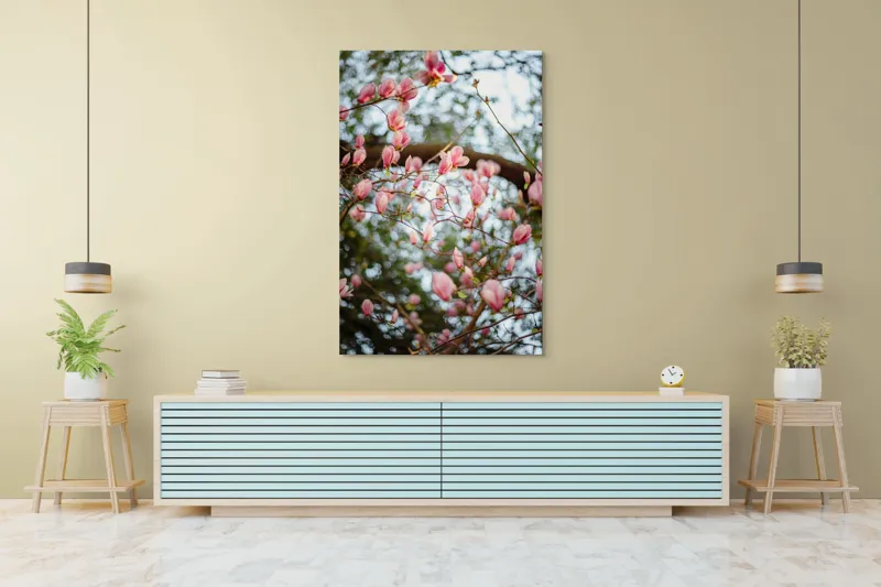 Tablou Canvas, "Magnolii înflorite sub cer senin", Flori, Roz, Ramuri, Primăvară, Cer, Frunziș, Natură, Delicat, Înflorire, Copac., 100 x 150 cm – poza 4