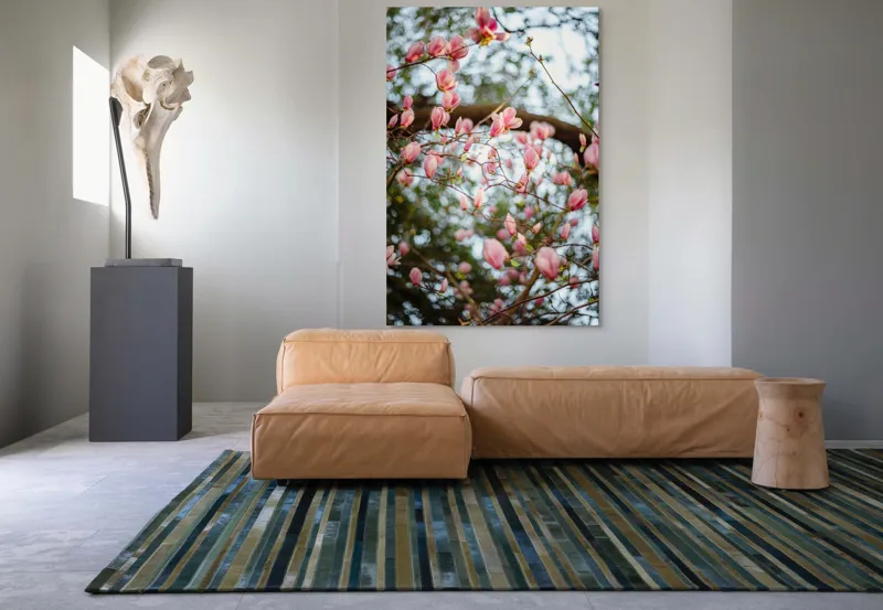 Tablou Canvas, "Magnolii înflorite sub cer senin", Flori, Roz, Ramuri, Primăvară, Cer, Frunziș, Natură, Delicat, Înflorire, Copac., 100 x 150 cm – poza 7