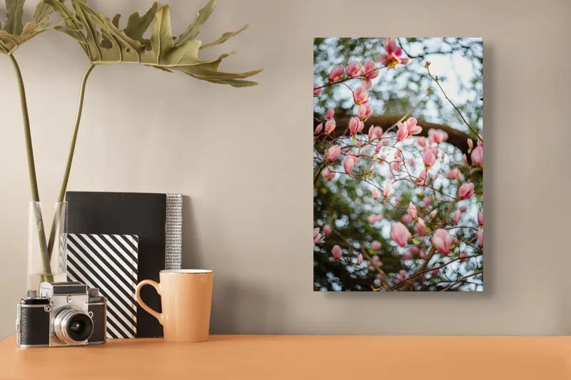Tablou Canvas, "Magnolii înflorite sub cer senin", Flori, Roz, Ramuri, Primăvară, Cer, Frunziș, Natură, Delicat, Înflorire, Copac., 26 x 39 cm – poza 3