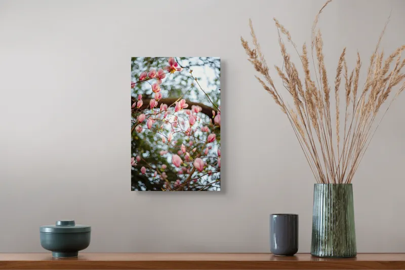 Tablou Canvas, "Magnolii înflorite sub cer senin", Flori, Roz, Ramuri, Primăvară, Cer, Frunziș, Natură, Delicat, Înflorire, Copac., 26 x 39 cm – poza 5