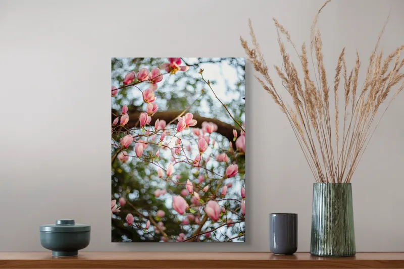 Tablou Canvas, "Magnolii înflorite sub cer senin", Flori, Roz, Ramuri, Primăvară, Cer, Frunziș, Natură, Delicat, Înflorire, Copac., 39 x 54 cm – poza 3