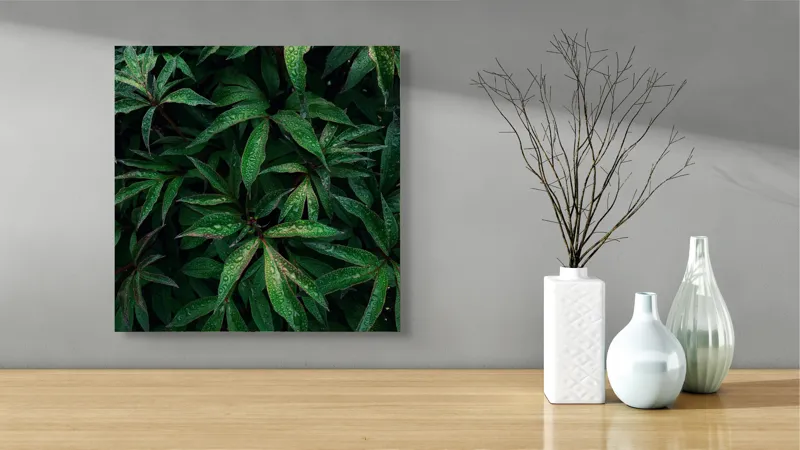 Tablou Canvas, "Frumusețea ploii printre frunze verzi", Frunze, Verde, Picături, Plante, Natură, Prospețime, Abundență, Textură, Viu, Lucios, 50 x 50 cm – poza 3