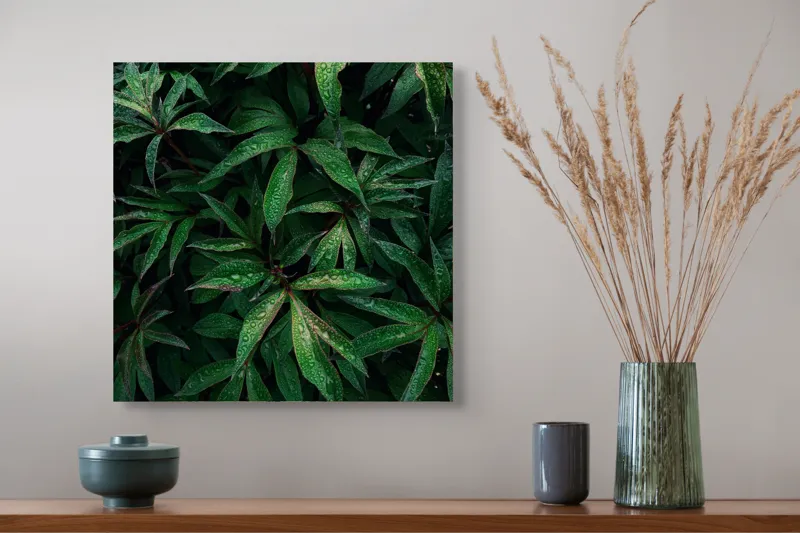 Tablou Canvas, "Frumusețea ploii printre frunze verzi", Frunze, Verde, Picături, Plante, Natură, Prospețime, Abundență, Textură, Viu, Lucios, 50 x 50 cm – poza 4