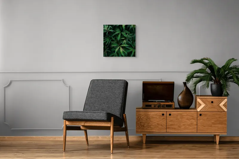 Tablou Canvas, "Frumusețea ploii printre frunze verzi", Frunze, Verde, Picături, Plante, Natură, Prospețime, Abundență, Textură, Viu, Lucios, 50 x 50 cm – poza 6